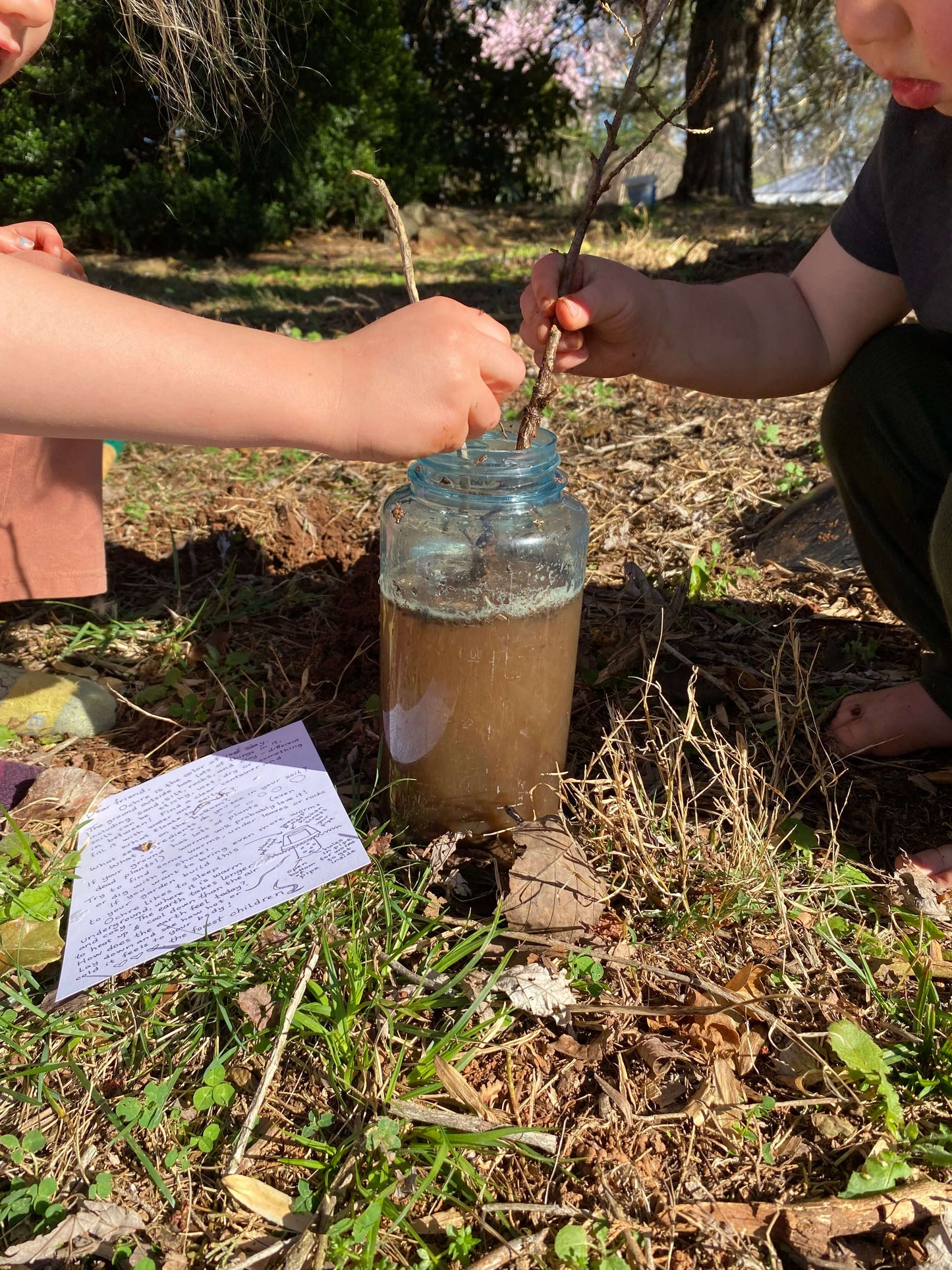 Letters from the Forest - Monthly Snail Mail for Children Sow & Tarry Studio