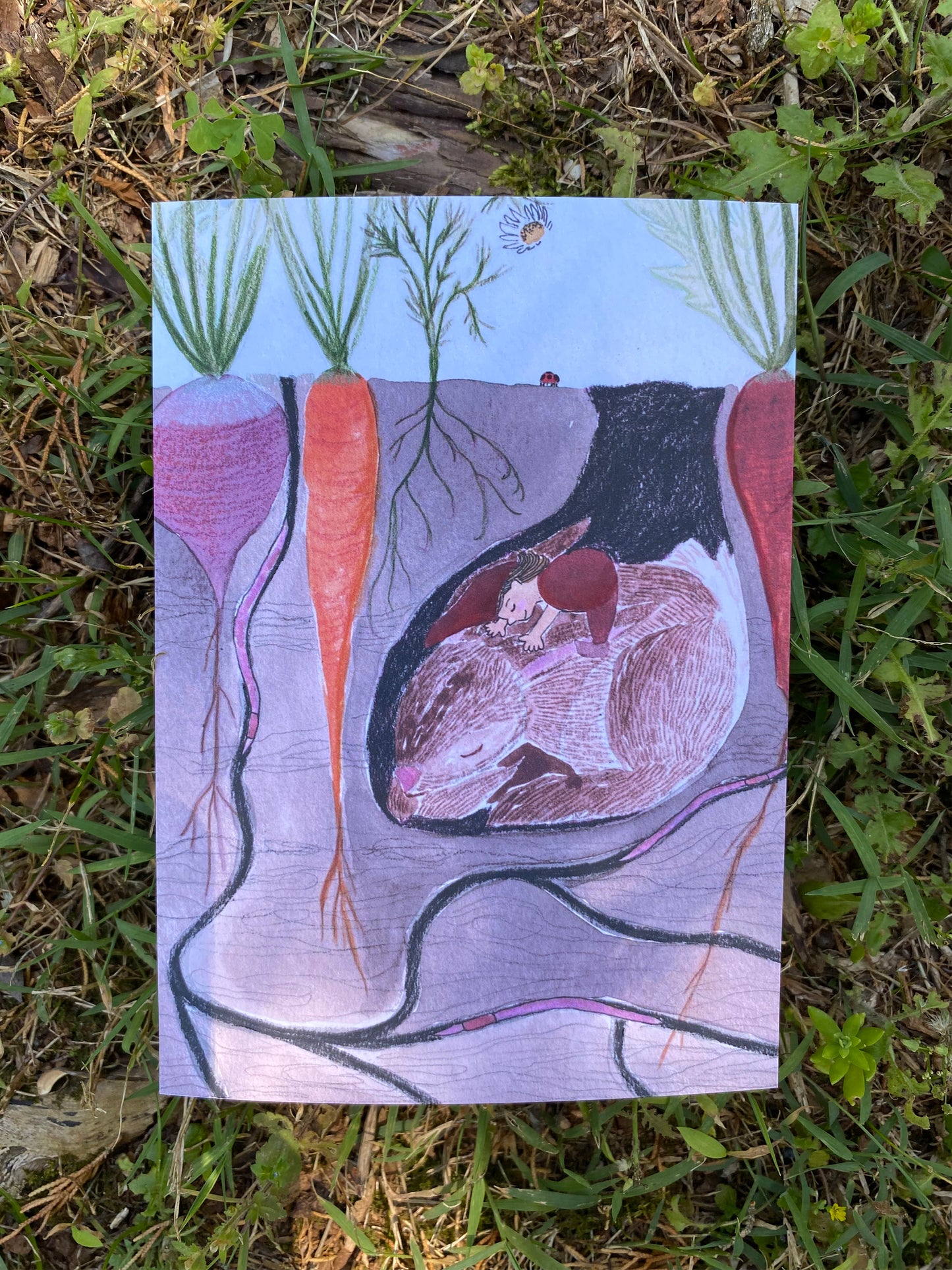 Garden Gnome Nursery Wall Art