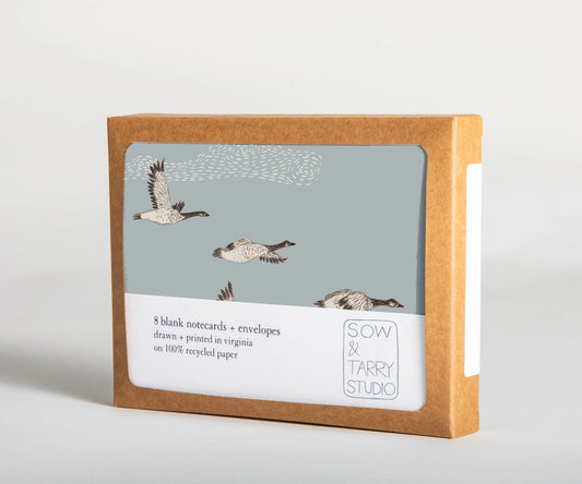 A boxed set of blank notecards, with a hand-drawn illustration of flying geese in a blue sky. Printed on uncoated, recyclable paper, and packaged in a compostable box.
