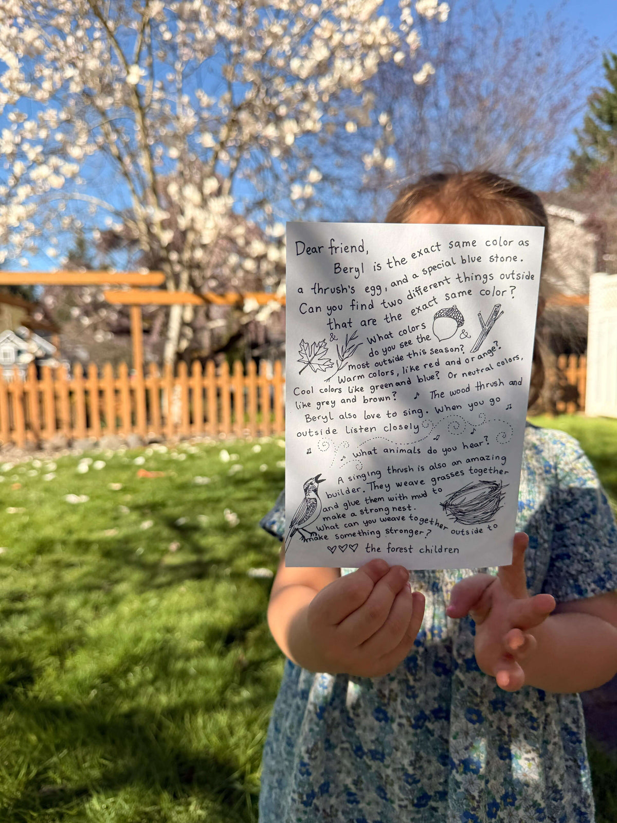 Young 4 year old holds up a 5 x 7 hand-written letter, in front of her face on a sunny day with cherry blossoms in the background. The letter is from a gnome named Beryl and she describes her blue color, how it matches a thrush's egg, how to listen to bird song, and how birds build their nests. 