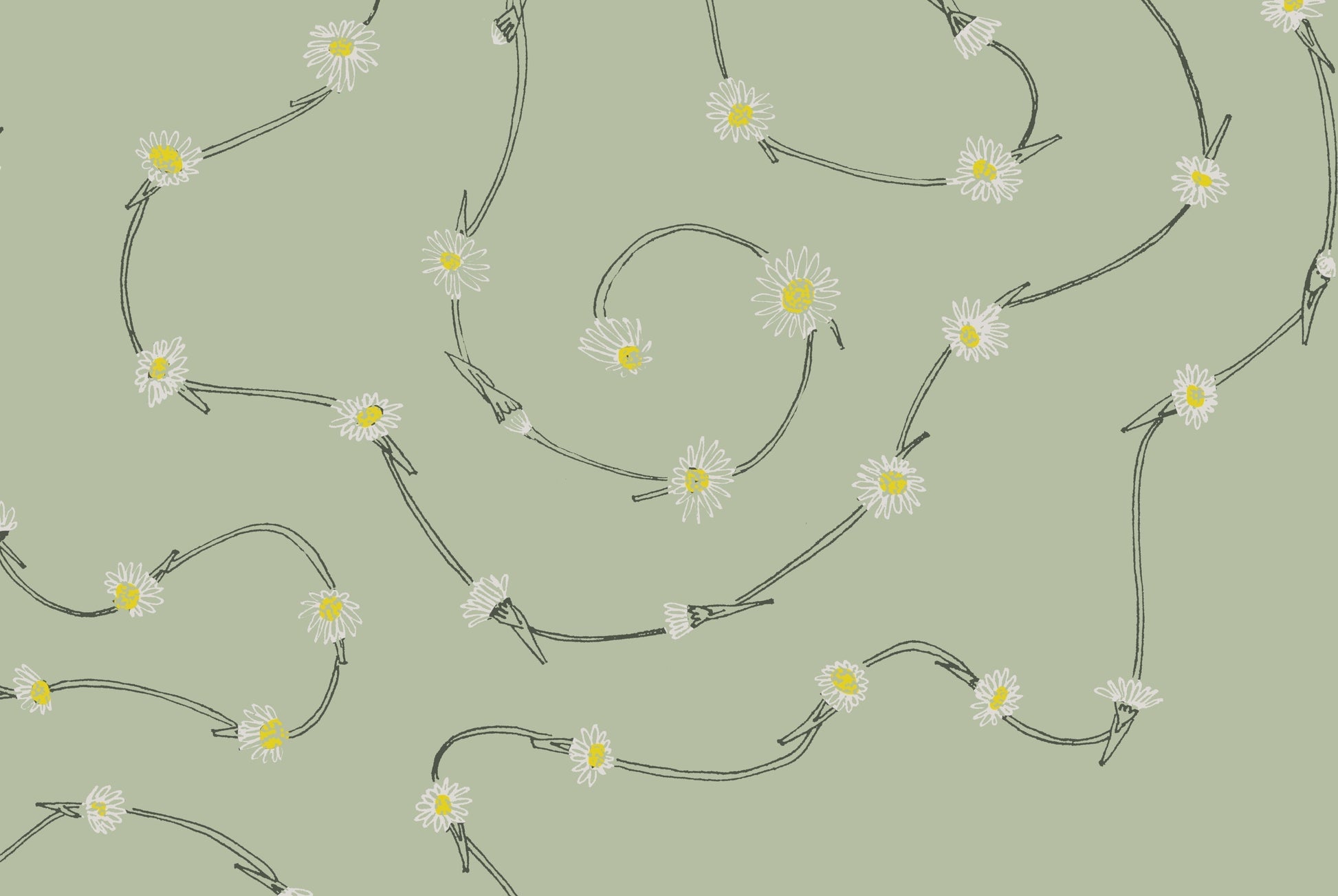 Daisy Chain Sow & Tarry Studio