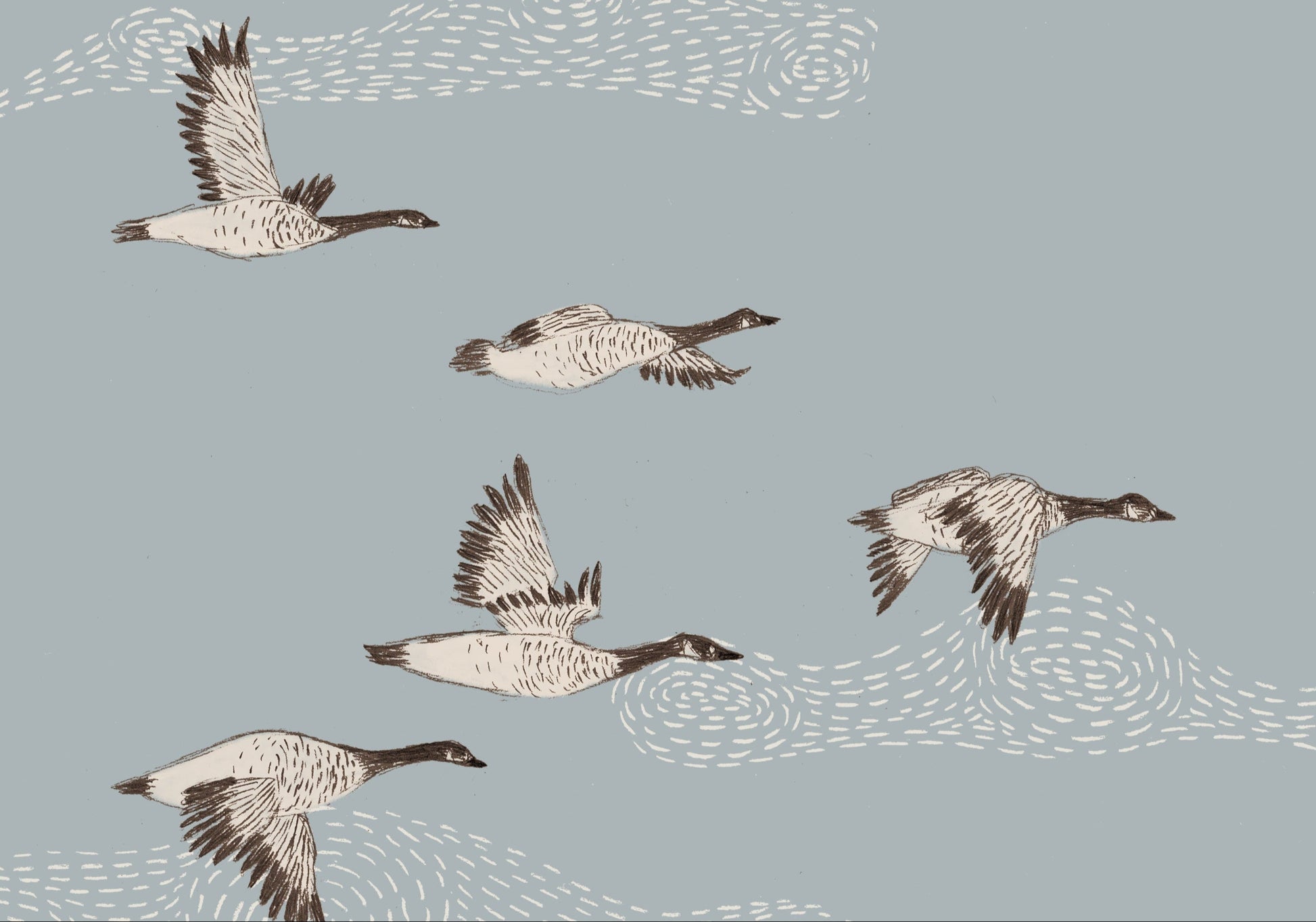 Geese Flight Sow & Tarry Studio