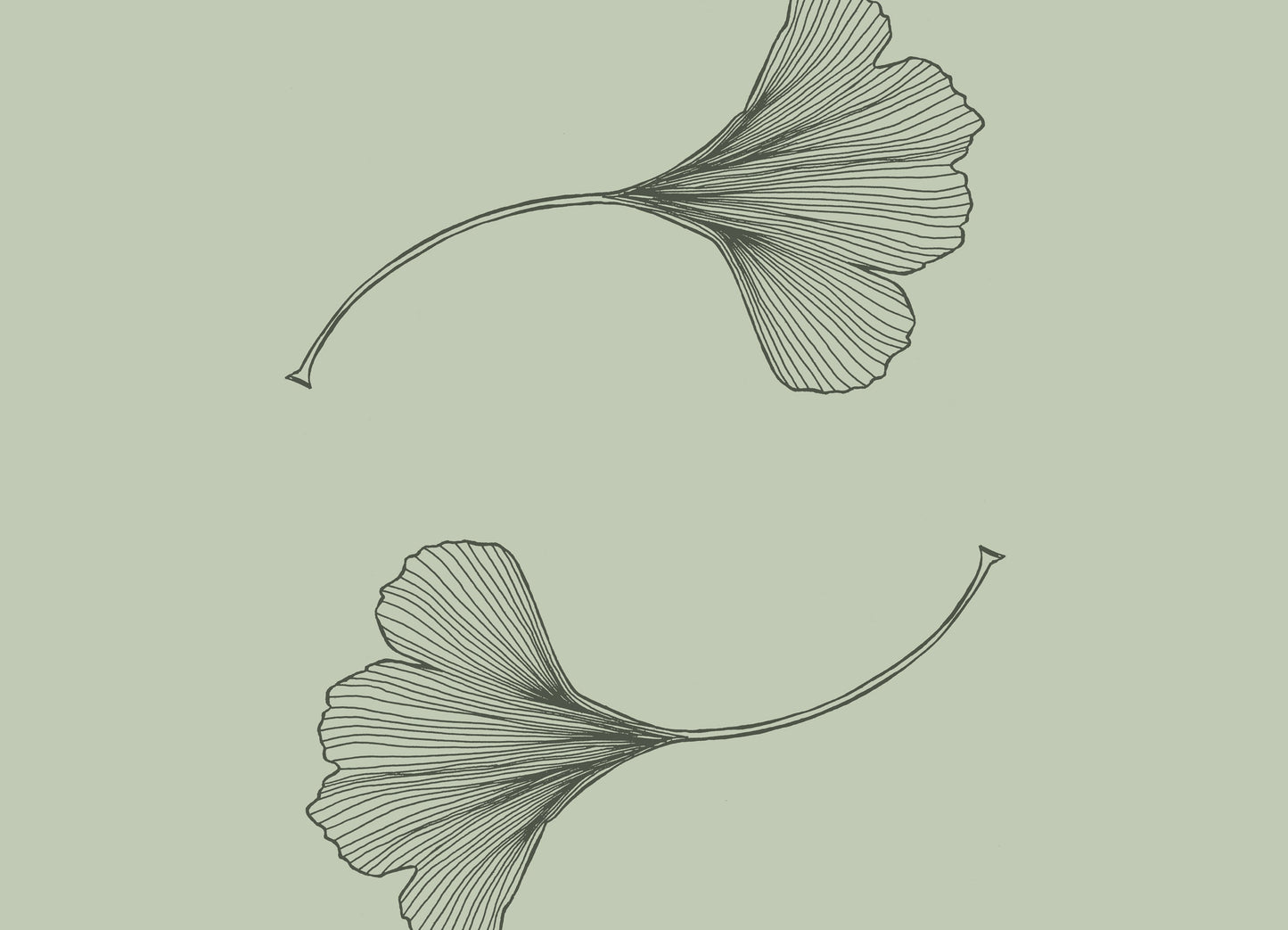 Gingko Leaves Sow & Tarry Studio