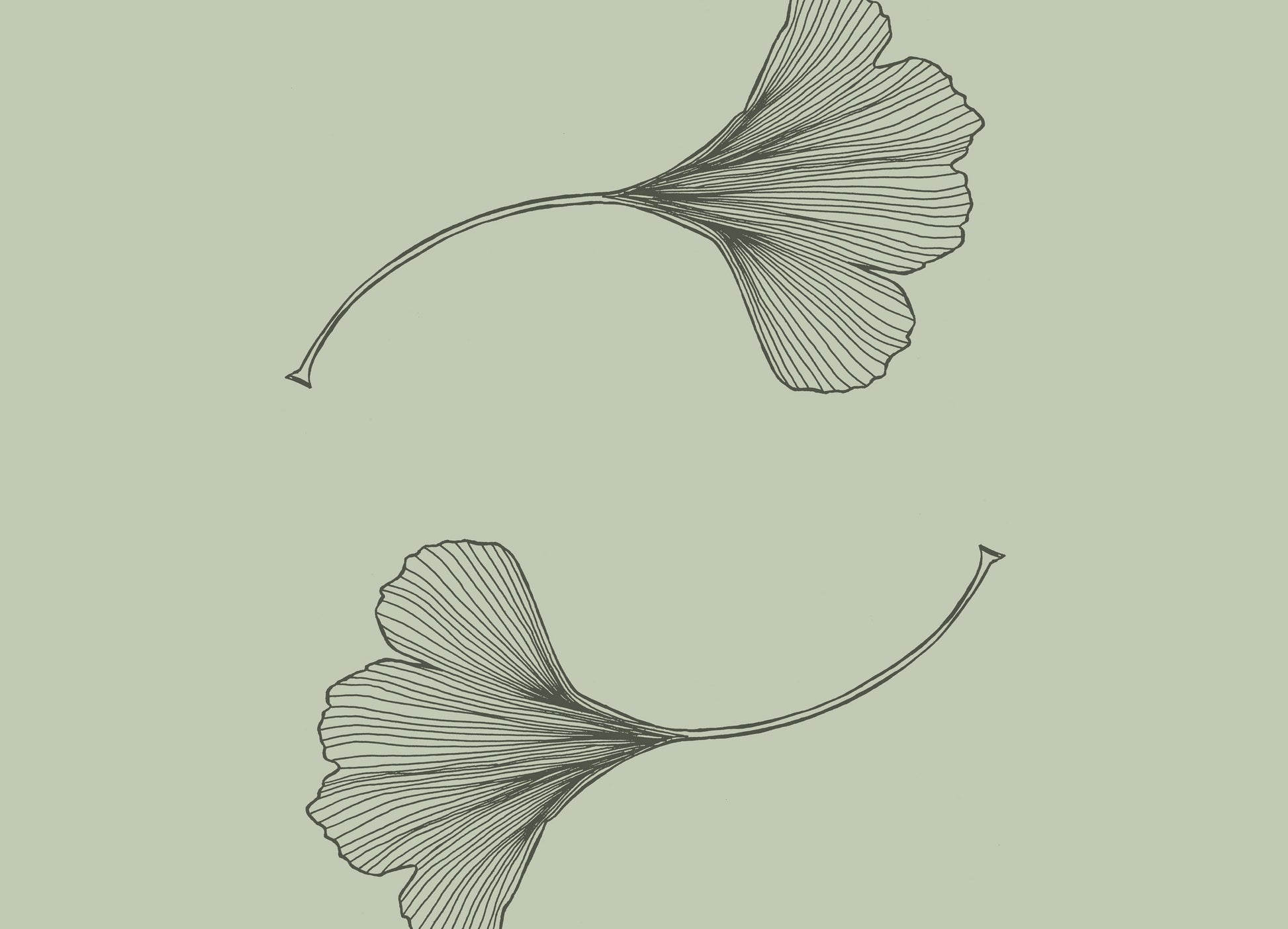 Gingko Leaves Sow & Tarry Studio