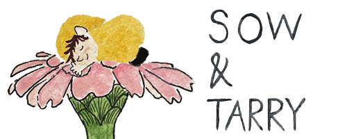 Sow & Tarry Studio